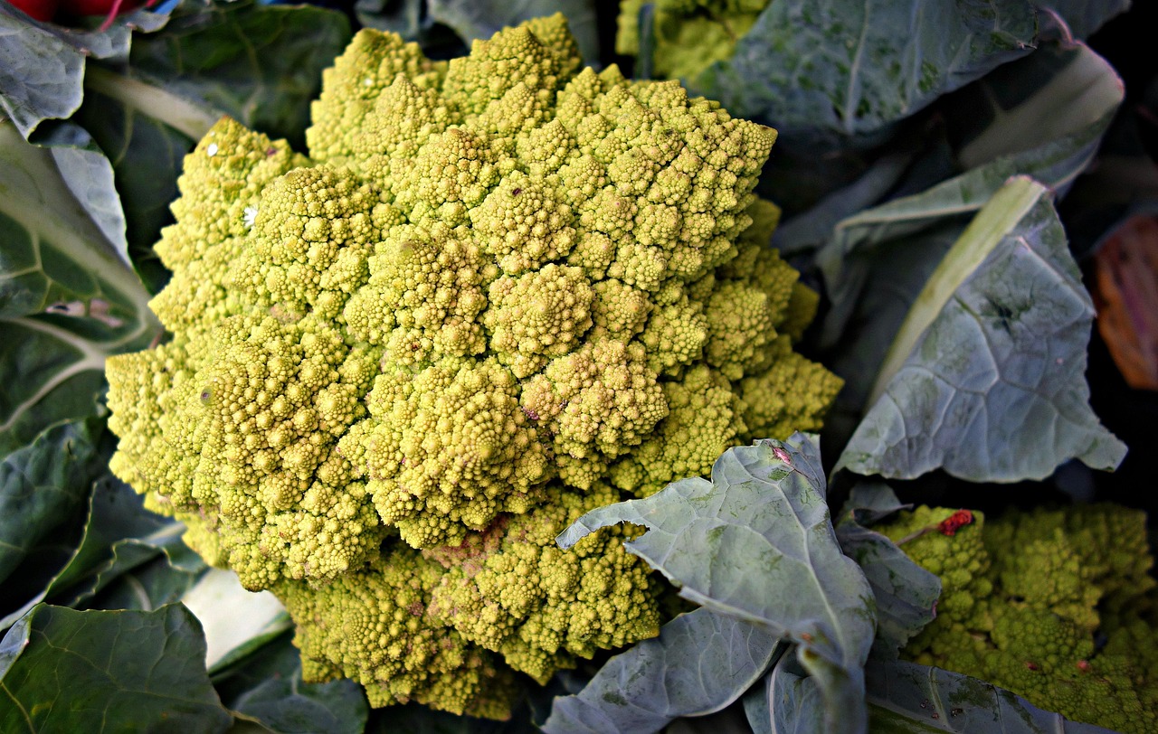 食物繊維を含む野菜